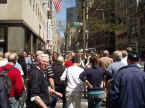 NY1.jpg (123562 Byte)