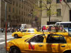 NY2.jpg (114434 Byte)